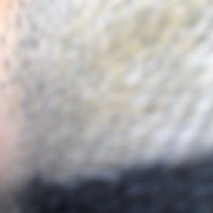 Meet your Posher, Shawn